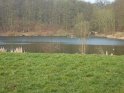 2013-04-04 10-29-01 Bois de Meudon Matin YLe